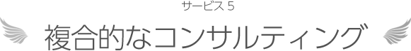 サービス5 複合的なコンサルティング